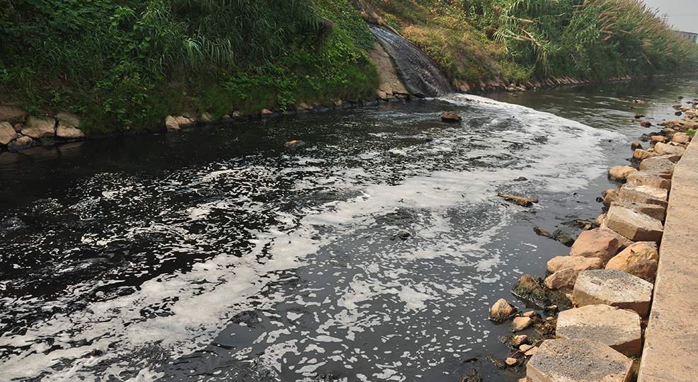 污水使浒溪变成“墨汁河”