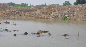 第六期:德清:护堤加固怎变成了河道